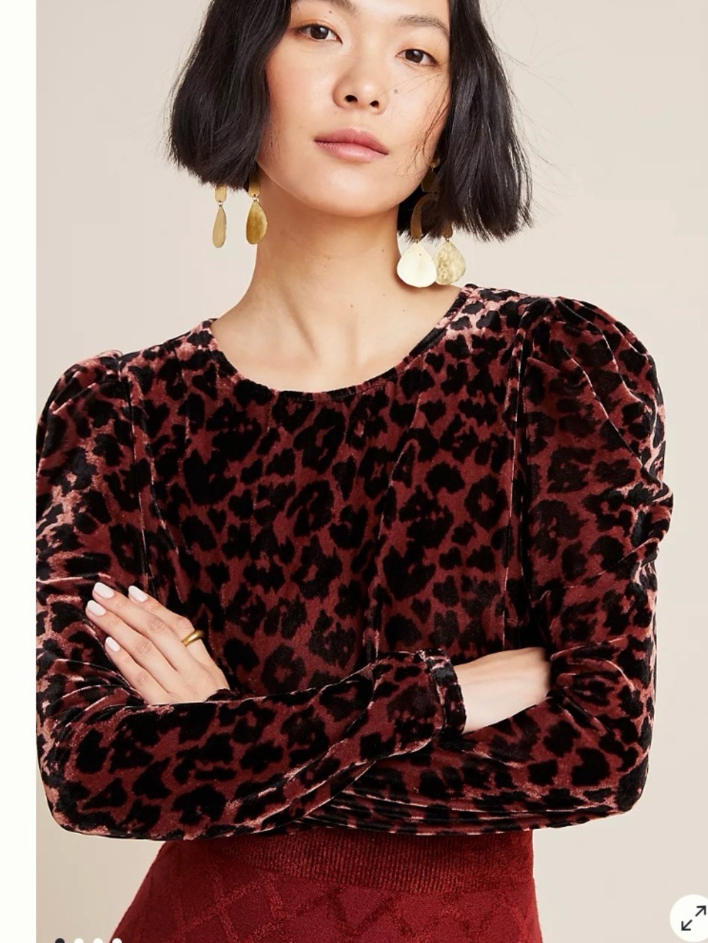 Dolan Left Coast Charley Velvet Leopard Blouse Anthropologie Size Medium